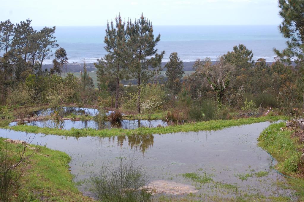 Casa Penedo Da Saudade Otel Afife Dış mekan fotoğraf